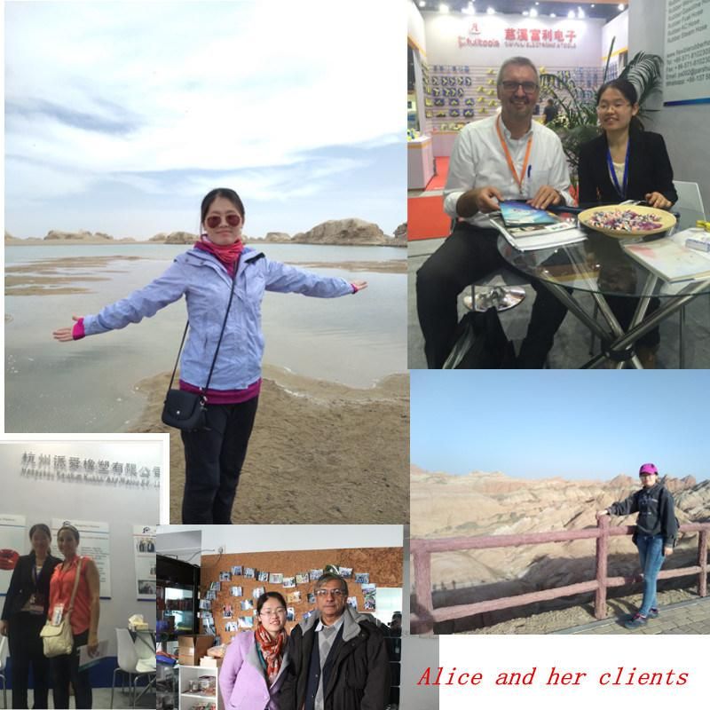 Color Fuel Gasoline Hose for Fuel Dispenser with Steel Wire