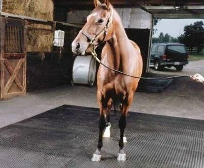 Rubber Horse Mat, Horse Stall Rubber Matting Rubber Stable Mat