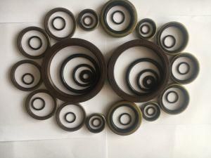 Nok OEM Heat Resist NBR EPDM FKM HNBR EPDM PTFE Cr Silicone Oil Seals for Trucks Cars Motors Forklift Trailor