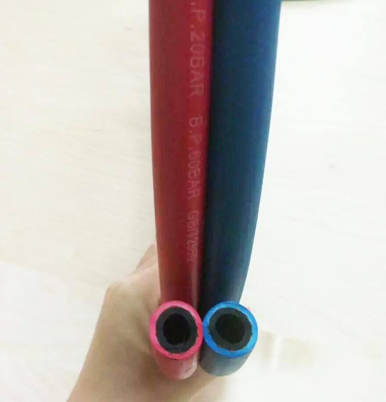 20 Years Production Experience 20 Bar Red and Blue Color Twin Welding Hose