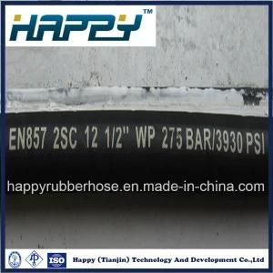 SAE100 R2at/DIN En 853 2sc Two Wire Braid High Pressure Hydraulic Rubber Hose