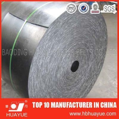 DIN Standard Transmission Conveyor Belt