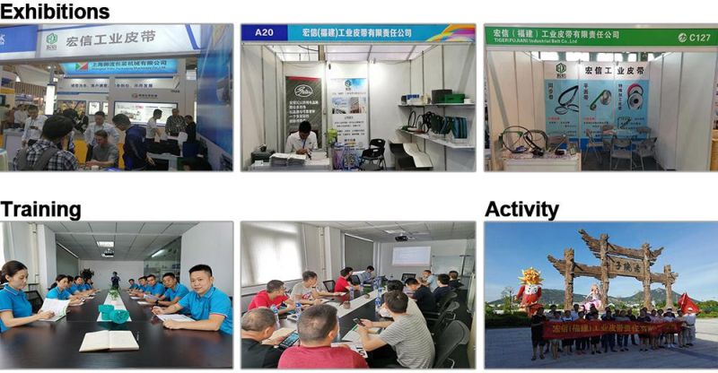 Cogged Industrial Rubber Auto Gear Chain Poly PU Motorcycle Transmission Parts Fan Conveyor Synchronous Tooth Drive Pk Timing Ribbed Wrapped Banded V Belt
