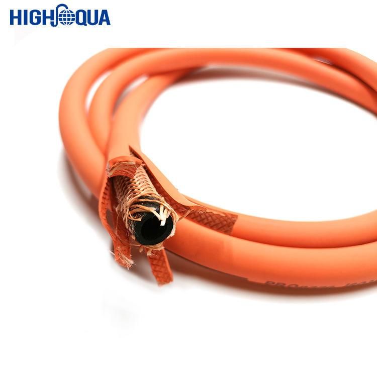 Chinese En599 Standard LPG Hose Gas Hoe