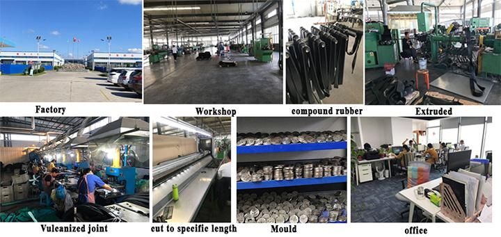 Manufacturer of Bus Door Seal EPDM Rubber Extrusions