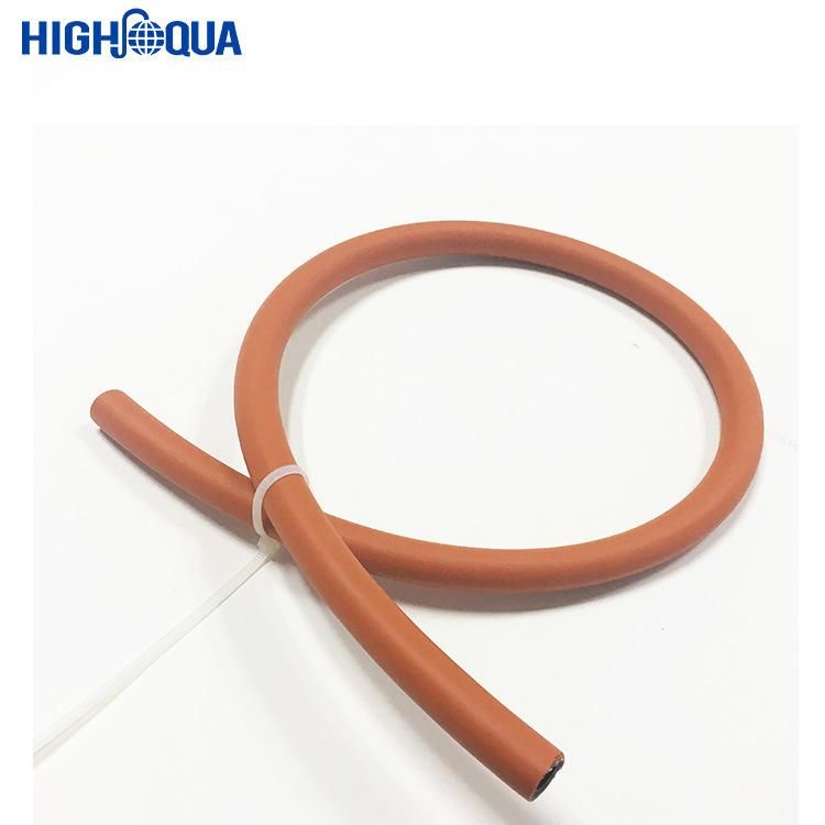 High Quality LPG Hose Assembly