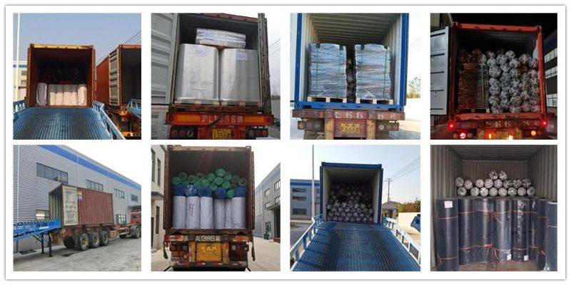 SBR/NBR/EPDM/Neoprene/Silicone Food Grade Rubber Sheet