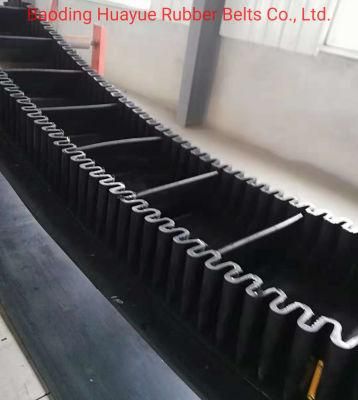 DIN Standard Curve Conveyor Belt