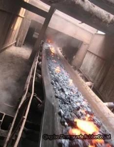 Heats Resistant Conveyor Belt