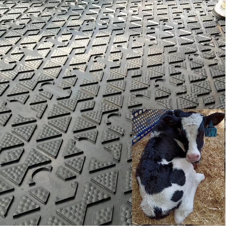 High Density Horse Stable Rubber Mat Cow Mat