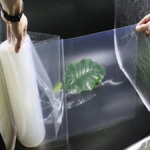 1mm Transparent Silicone Rubber Sheet