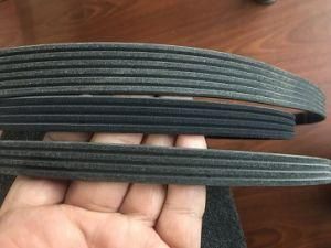 Ribbed Belt Pk Belt