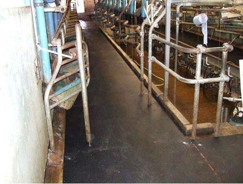 High Quality Cheap Horse Stall Cow Rubber Mat