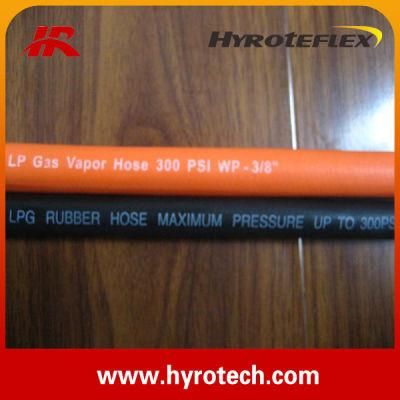 Hot Sale LPG Hose Manufacturer/Supplier
