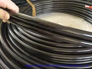 Ultra High Pressure Hose Twin Thermoplastic Hydraulic Hose SAE 100 R7/R8