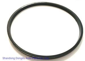 OEM Standard Auxiliary Seal for Rubber Material