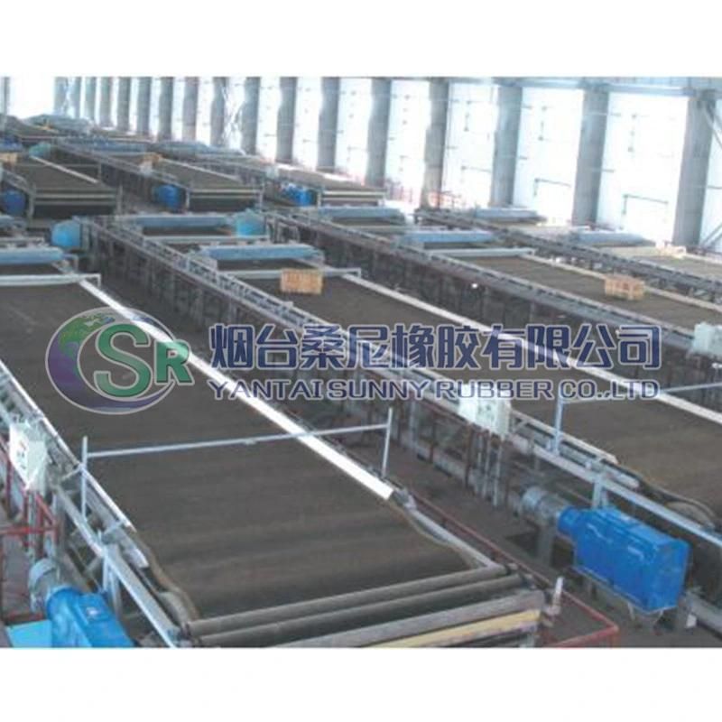 Spillway Gate for Tidal Barrier and Irrigation