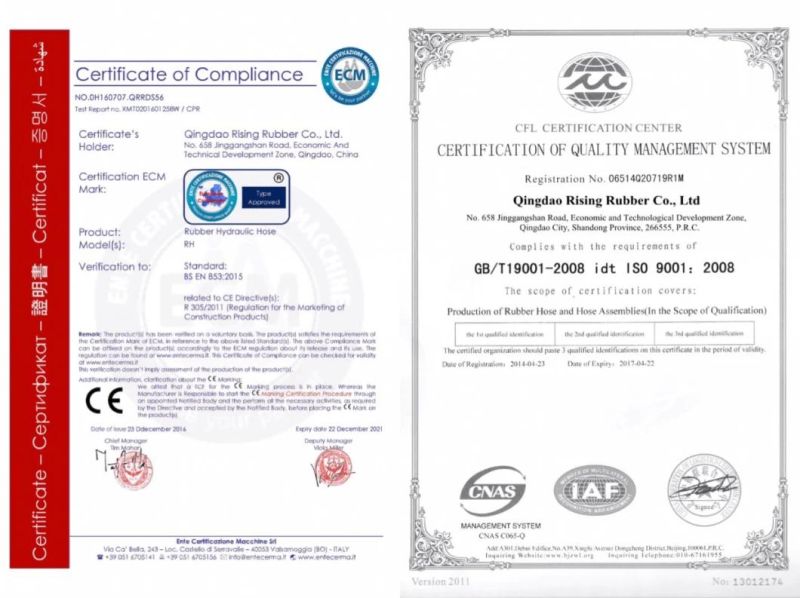 Hydraulic Rubber Hose with Wire Spiral for Extreme High Pressure