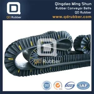 Sidewall Conveyor Belt