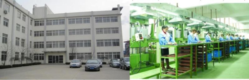 High Temperature Waterproof NBR/EPDM/Silicone /Rubber/FKM Sealing O-Ring/Gaskets/Gakset for Industry and Automotive