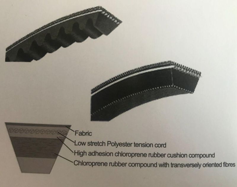 Oft Banded Cogged Raw Rubber Belts, Band Rubber V Belt