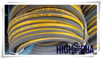 American and Germany Standard Hydraulic Hose for Oil