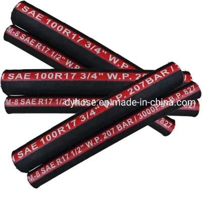 Flexible Rubber Hose Pipe Hydraulic R9/R10/R12/R15/R16/R17 Thermoplastic Plastic Water Hose