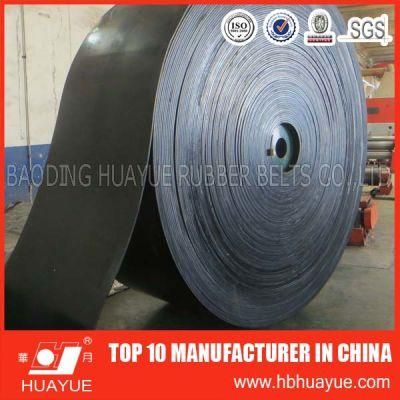 High Strength Heat Resistant, Ep/Nn Conveyor Belt for Cold Condition