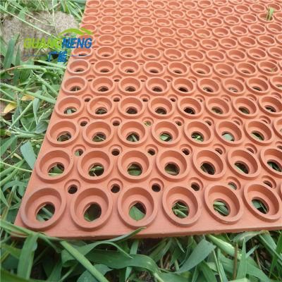 Anti-Bacteria Hollow Rubber Mat for Door