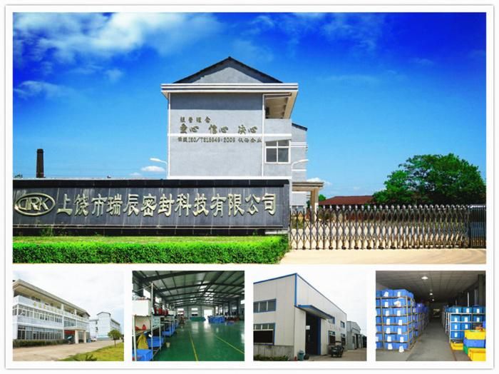 Weather Resistance Auto Silicone Seal