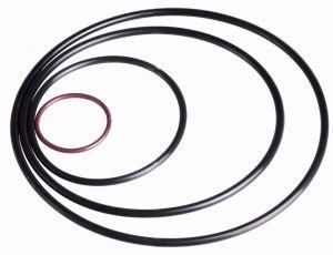 Nok Japan HNBR FKM PU NBR O-Ring with Good Quality and Best Price