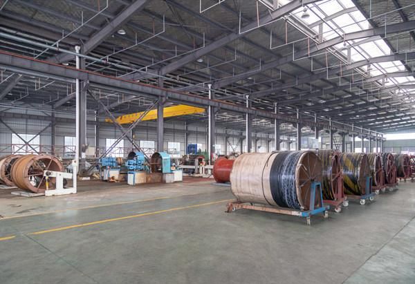 1/4" Steel Wire Braided Rubber Hose Pipe SAE100 R2at