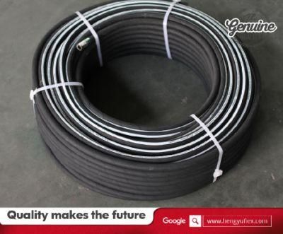 High Pressure Flexible Rubber Hydraulic Hose 2sn R2at