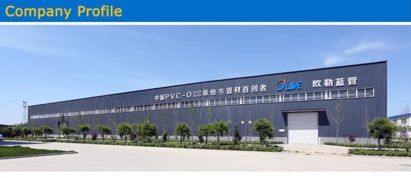 10 Inch Diameter Dredging Rubber Suction Hose for Industry Usage