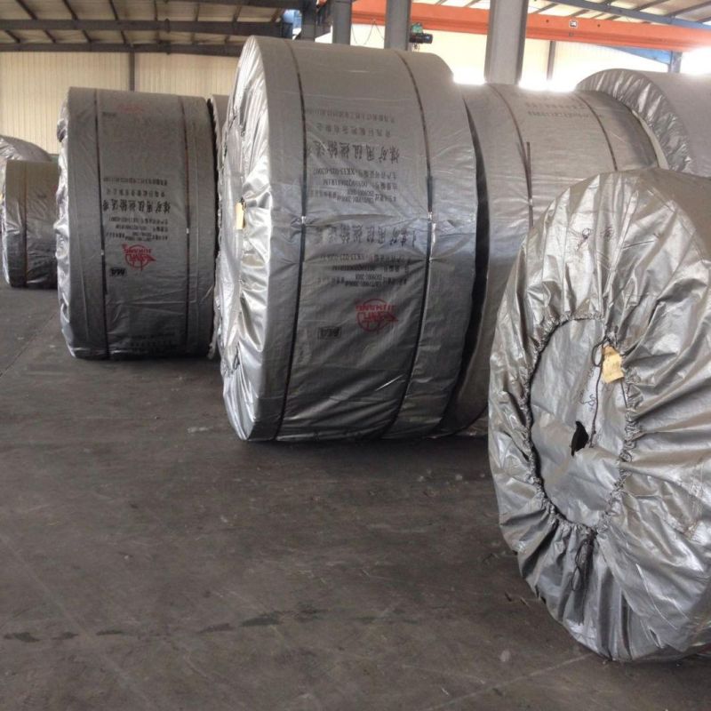 Nylon Conveyor Belt