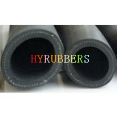 Flexible Hose with DIN En 857 2sc Standard