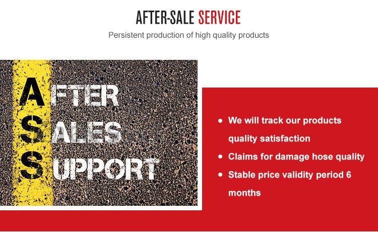 Strip Rubber Sheet, Rubber Skirt Cutting, EPDM/Silicone/Nr/SBR/NBR/CR Rubber Mat