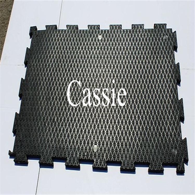 Iterlock Animal Horse Stall Mats/Cow Horse Matting