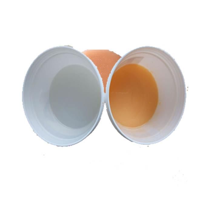 Lifecasting Flexible Silicone Rubber 228800 for Feet