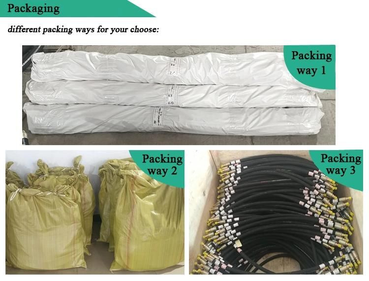 Manufacturer Supply Hydraulic Hose and Fittings Hose Assembly