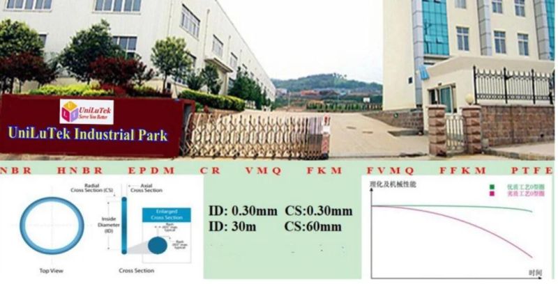 As4-568 Standard NBR FKM EPDM Silicone X-Rings