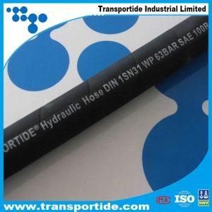 R1at/1sn China Hydraulic Hoses