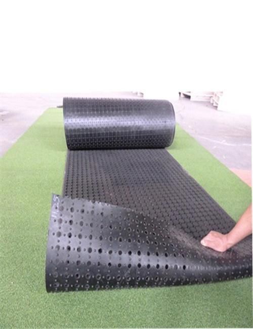 Anti-Bacteria Rubber Mat/Kindergarten Rubber Mat