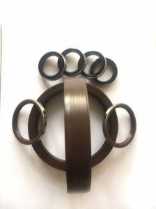 NBR EPDM FKM HNBR EPDM PTFE Cr Silicone Oil Seals for Truck Car Motorcycle Sealing Ring Rubber Seal Nok OEM Standard