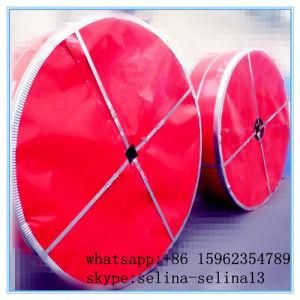 Heat Resistant Conveyor Belt