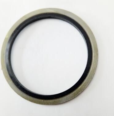 CS Ss Inner Outer Ring PTFE Spiral Wound Gasket&Washer