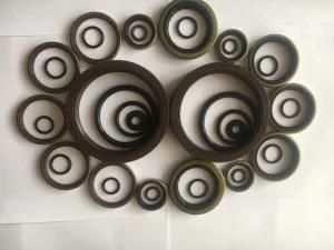 Sealing Ring Nok NBR FKM EPDM Rubber Viton Double Lip Engine Oil Seal for Cars Trucks Customized