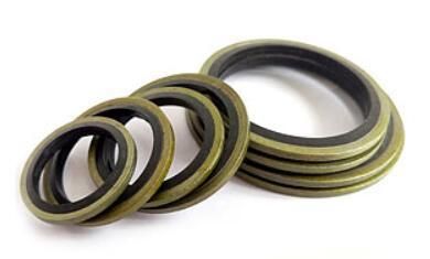 Stainless Steel Rubber NBR Bonded Seals/Bonded Seal Washer