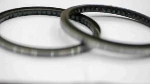 Axial Shafte Rubber Oil Seals Radial Shaft Seals NBR FKM Industrial Grade From China 95*120*12mm