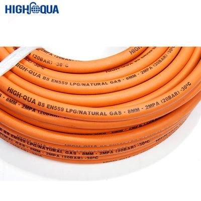 Chinese Best Price Good Quality LPG Gas Hose
